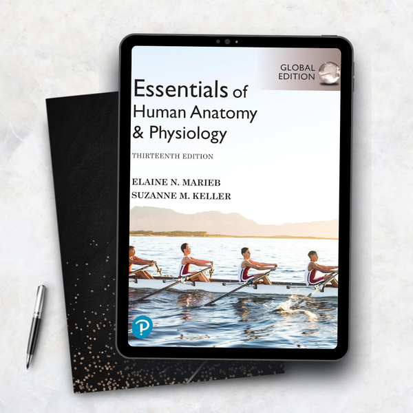 Essentials of Human Anatomy & Physiology Global Edition Thirteenth Edition